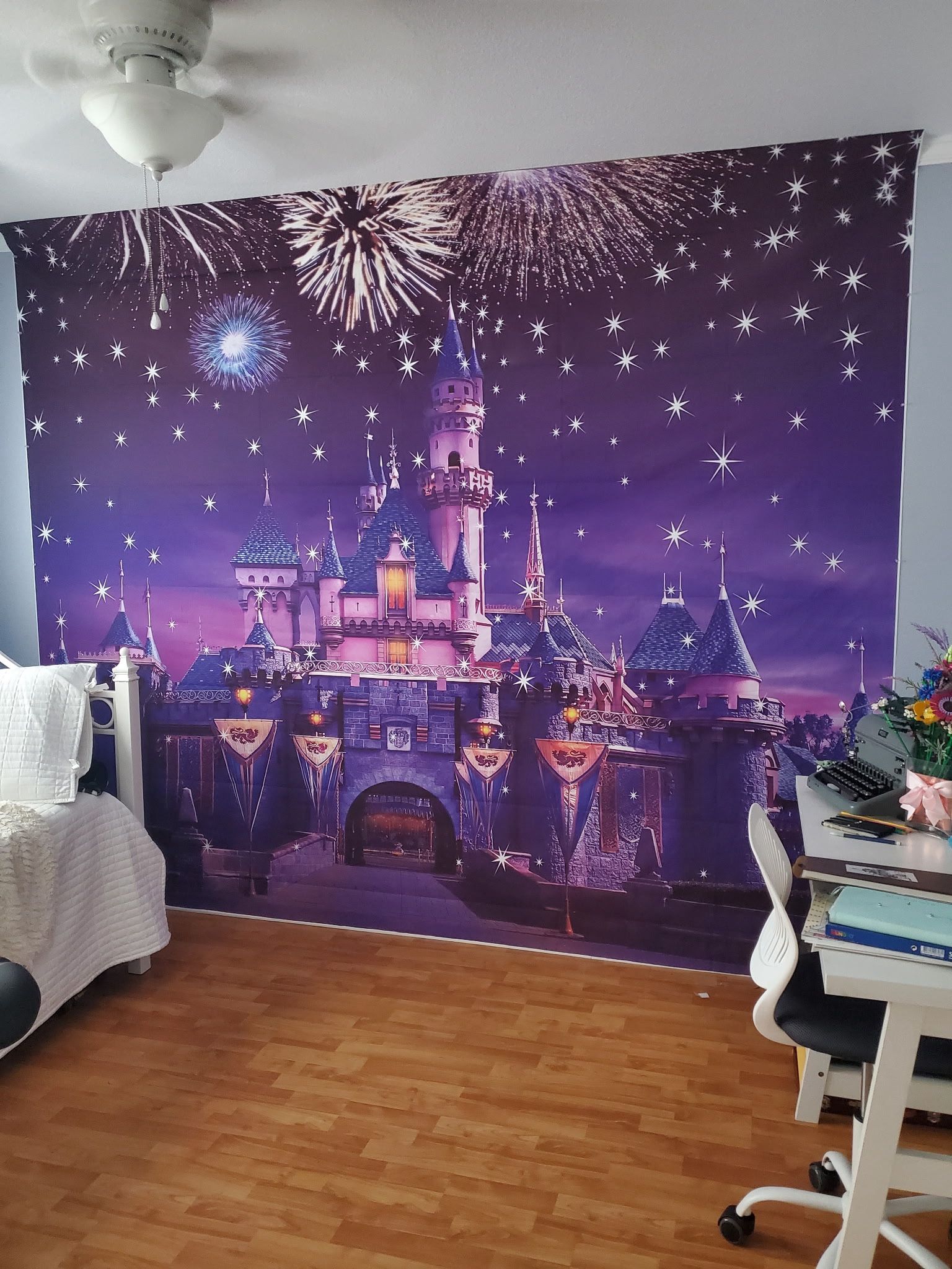 Disney backdrop/ Mural