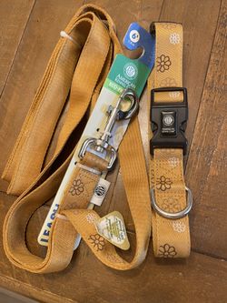 Pet Collar And Leash 