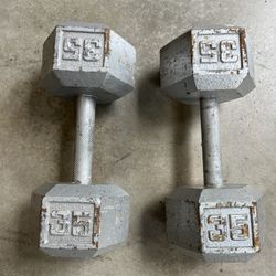 35 lb Dumbbells 