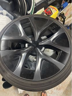Tesla Model Y Performance Wheels and Tires(2026)