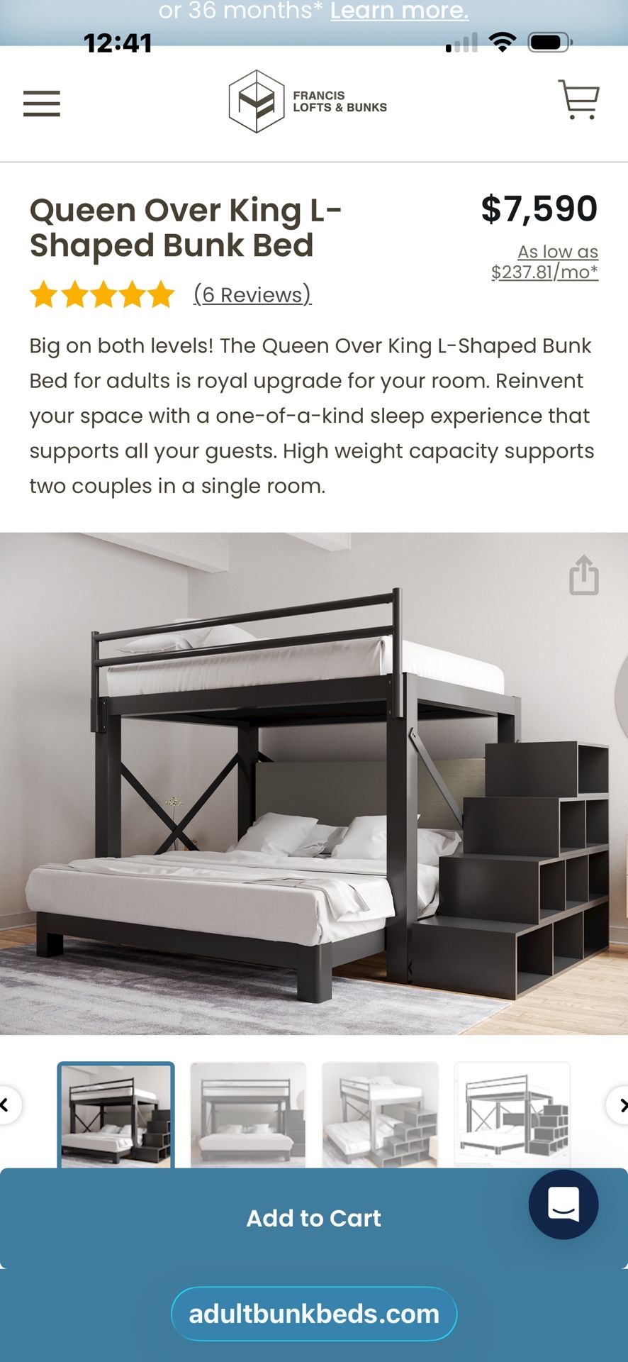 Adult Bunk Beds