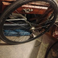 Fixed Gear Wheels/Rims