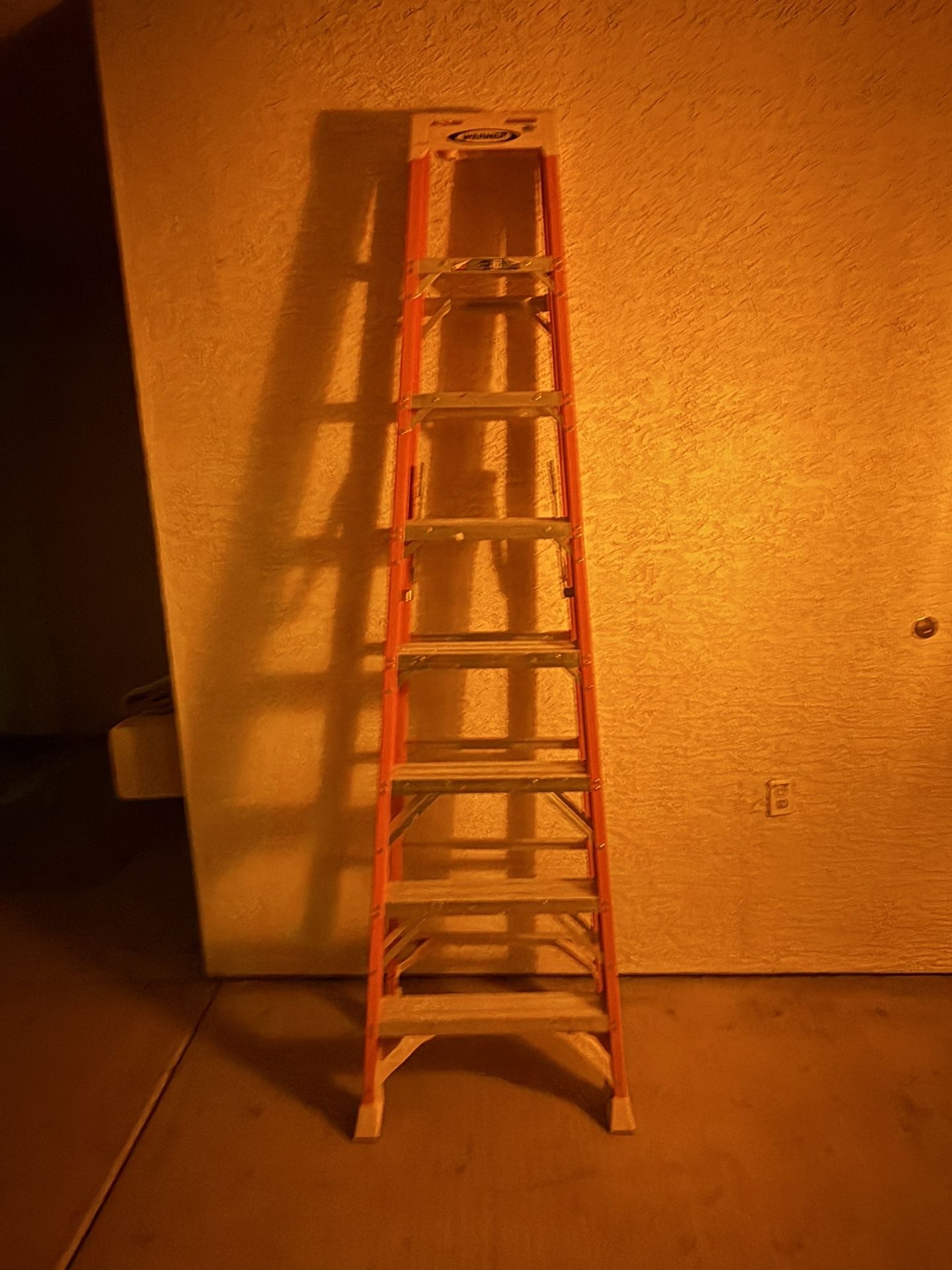 8 Ft Werner Ladder