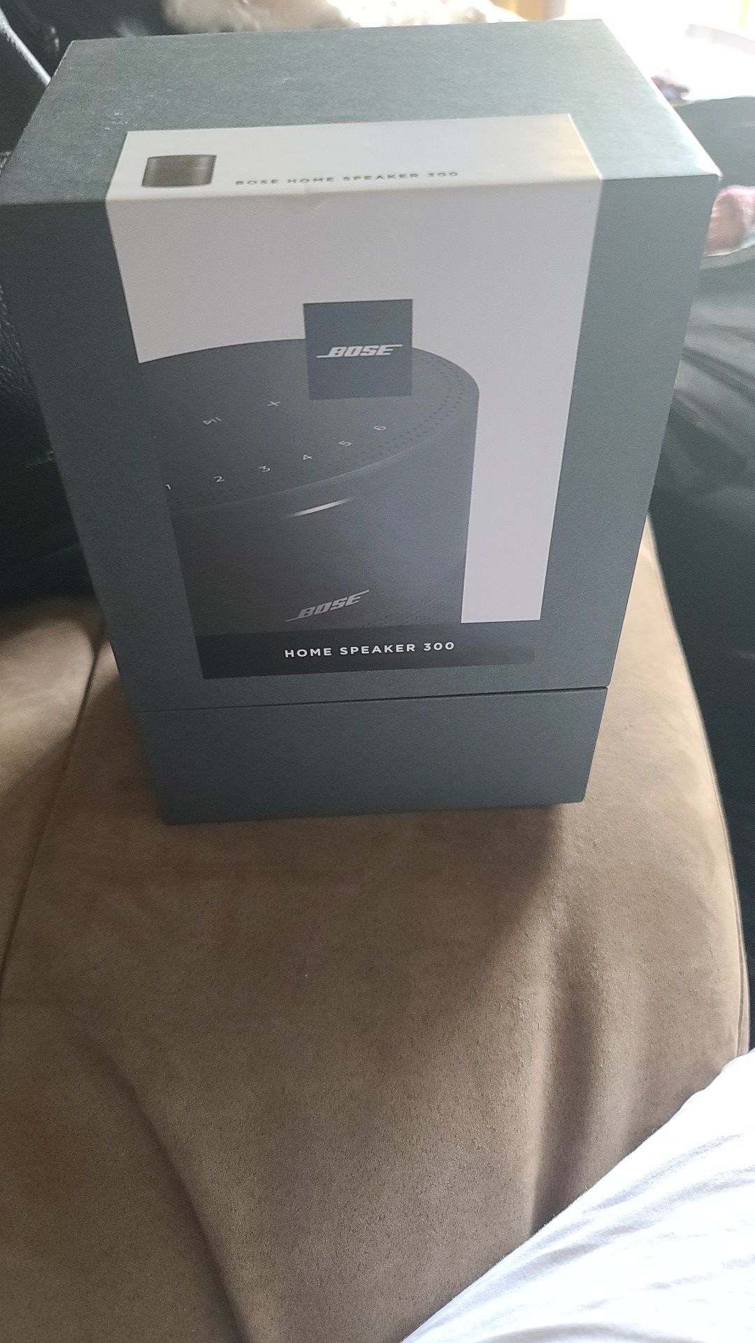Bose Speaker 300 NEW ! ORIGNAL $199. MY PR. $100 today only by 5pm.