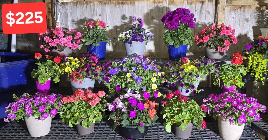 Flower Bundle