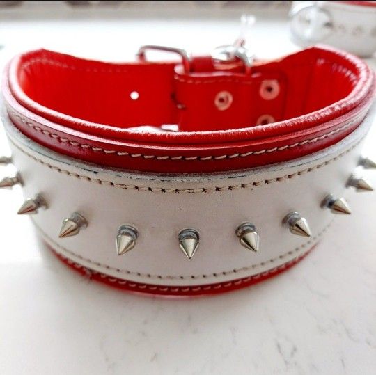 XL Leather Dog Collar With Spikes