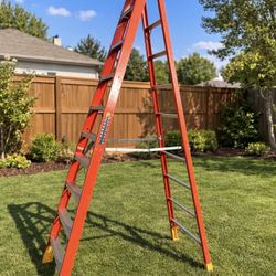 10 Foot Ladder 