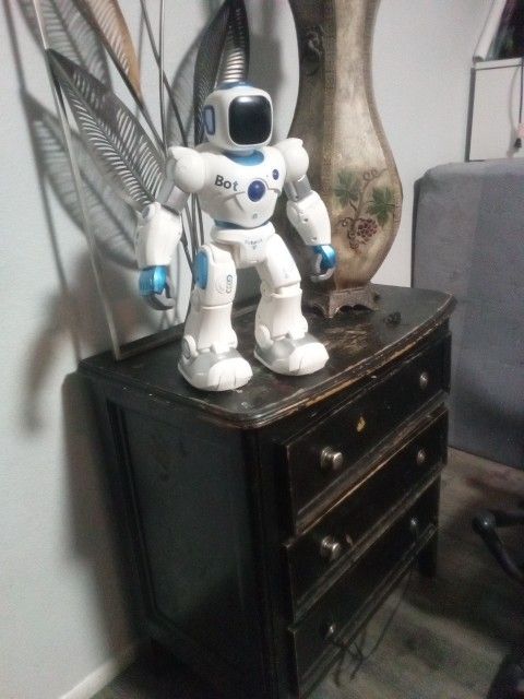 Roku Robot