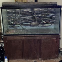 90 Gallon Tank With Solid Wood Base PLUS extras