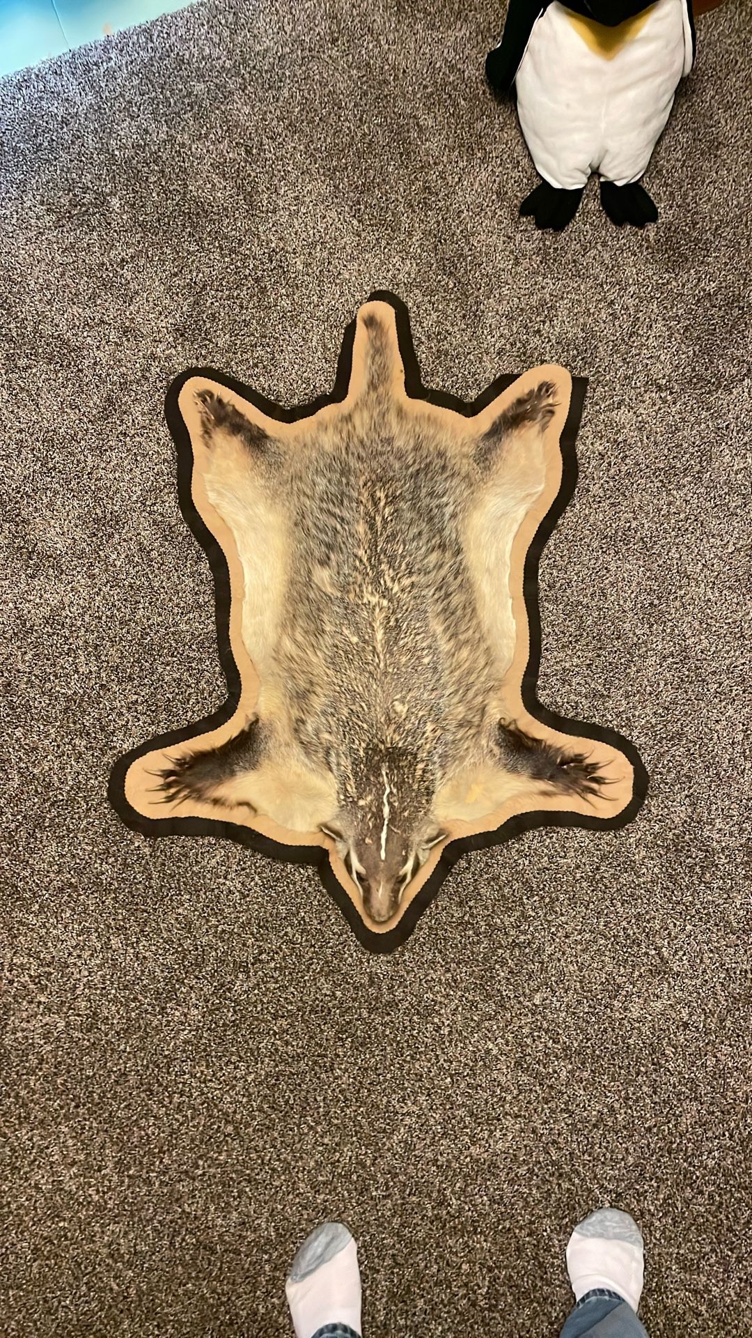 Badger Taxidermy 