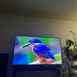 75” Samsung 4K QLED 