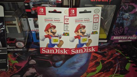 Nintendo switch memory