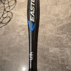 Easton Baseball Bat 30in 