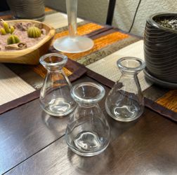 Plant Avocado Propagation Station