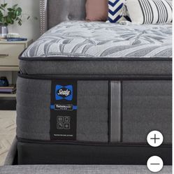Queen Size Mattress - Thick Pillowtop Medium Firm Mattress