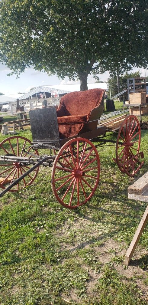 Horse Buggy