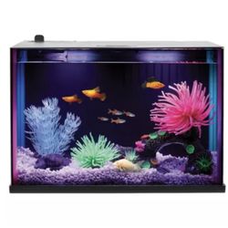Top Fin Colorflow Aquarium Starter Kit - 3 Gallon - 7 Color LED