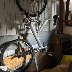 Gary Fisher Aluminum  mountain bike triple shock