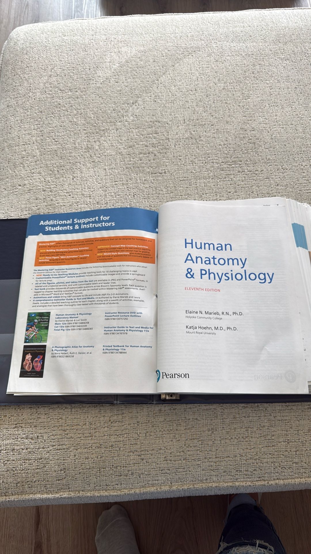 Human Anatomy And Psychology 