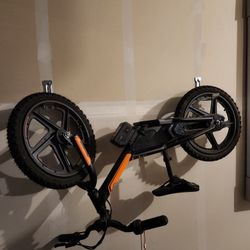 Iron E16 Eletric Bike