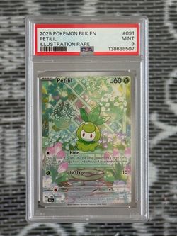 PSA 9 Petilil 091/086 – SV: Black Bolt (BLK) Secret Rare Pokémon Card