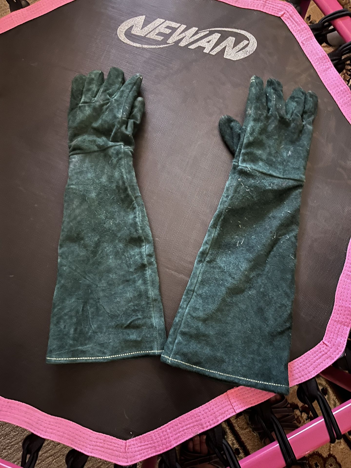 Dog Training Gloves