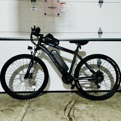 Tot Gaurd Electric Bike