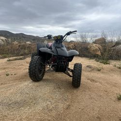 1992 Trx 250x 