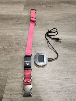 Fi Pet tracking collar