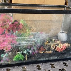 Large And Small Tank $50 And $35 