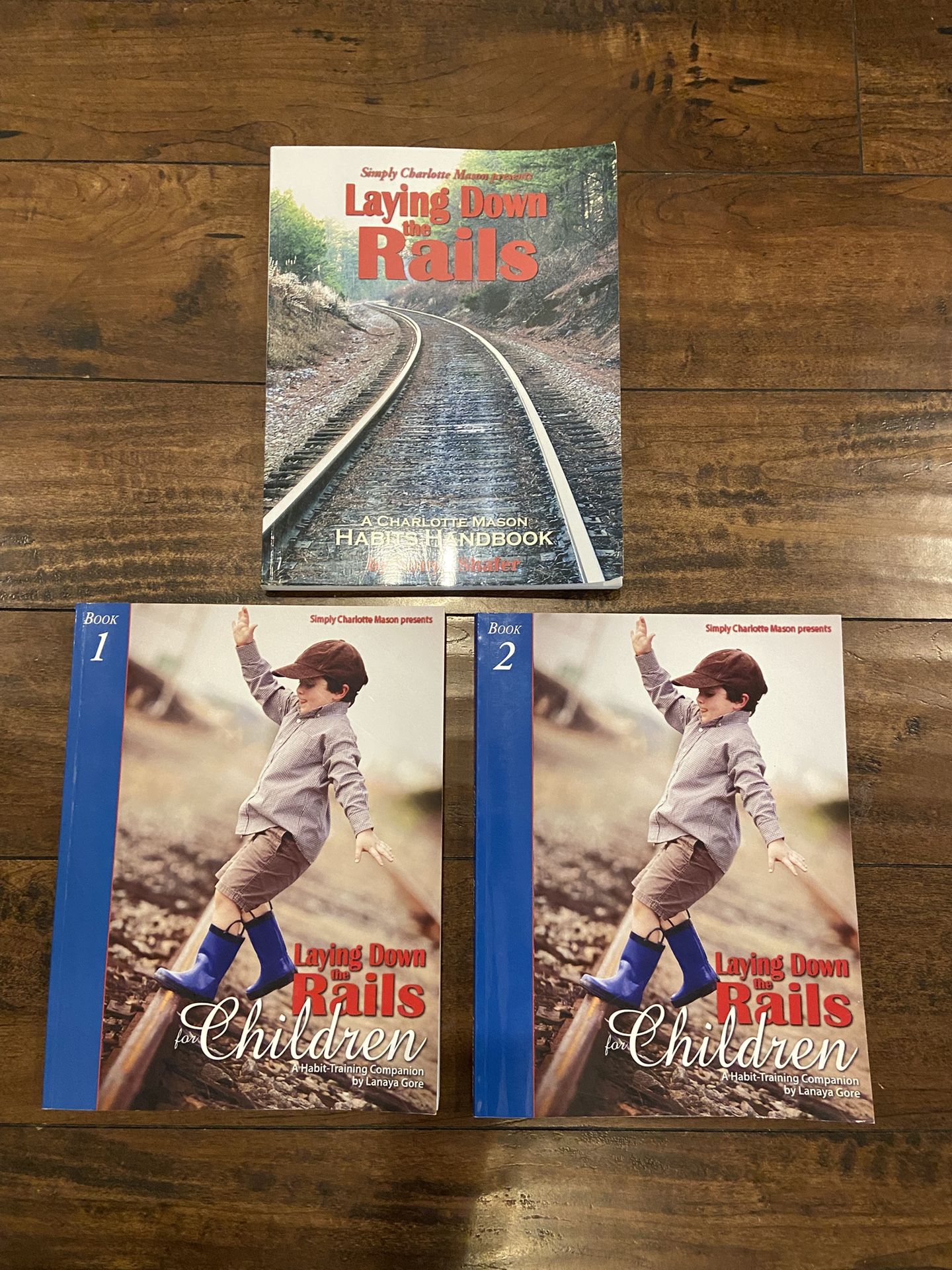 Laying Down The Rails Curriculum 