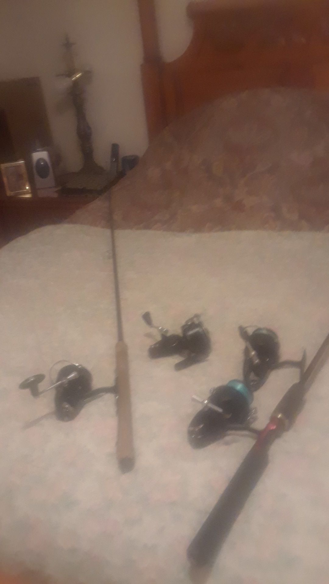 Fishing rods the name r Mitchell garcie