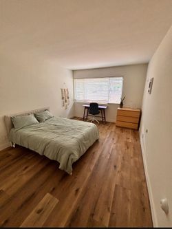 Full sized bed with frame and duvet/ sheets