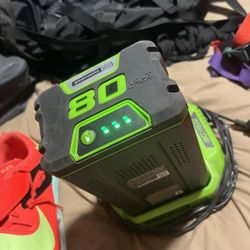 Battery And The Battery Charger 