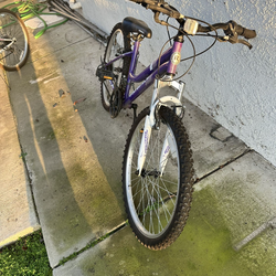 mountain bike size 24inch