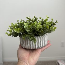 Faux Plant $5
