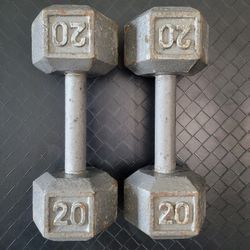 Dumbbells (20lbs Pair)