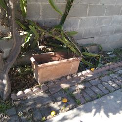 Terra Cotter Planters 