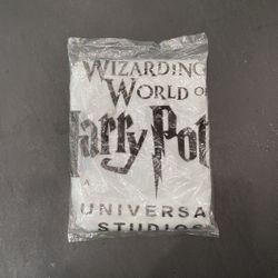 Harry Potter Rain Poncho