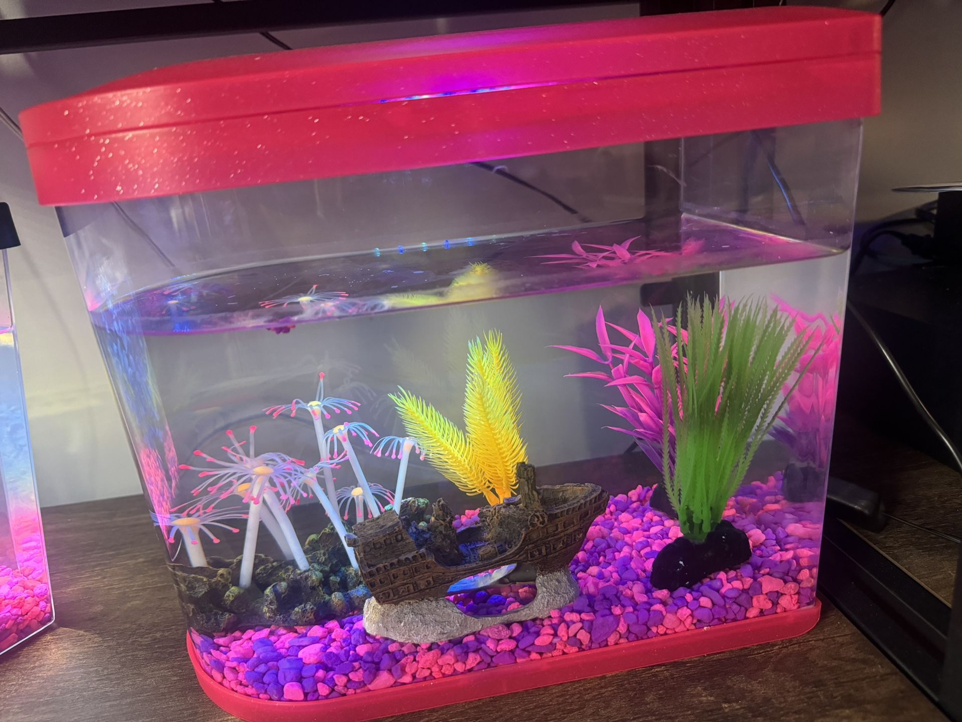 Acuario