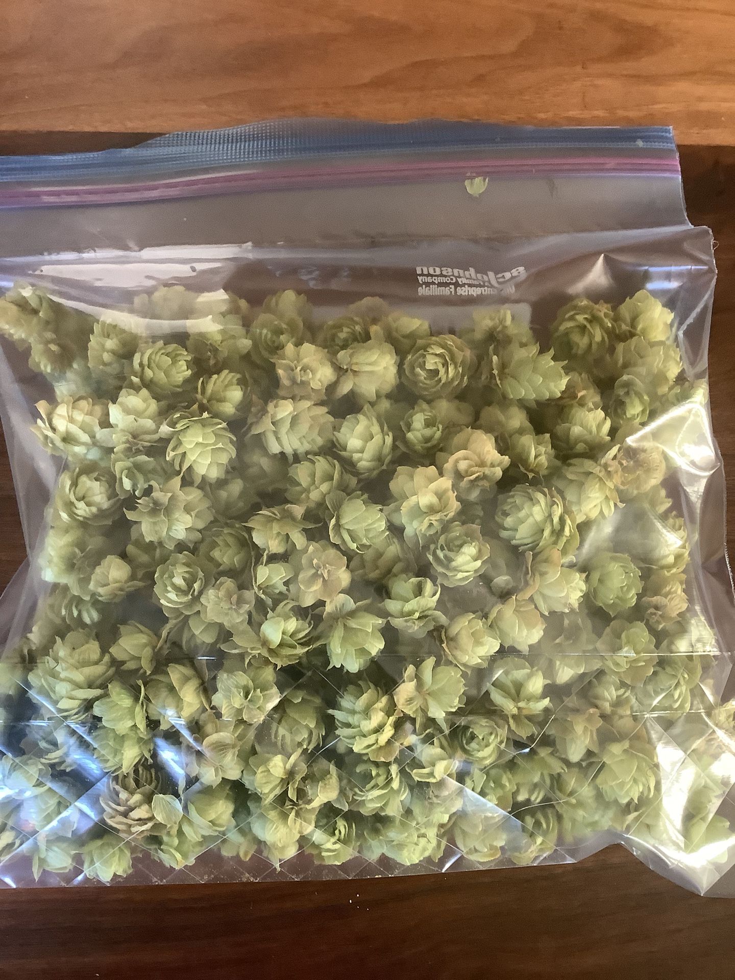 Hops For Brewing 