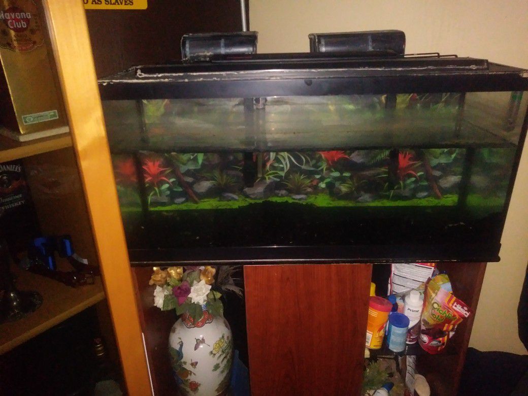 Fish tank, Filters and Stand