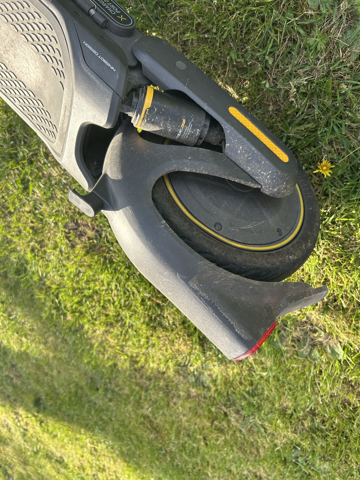 Electric Scooters