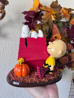 Charlie Brown/snoopy Halloween