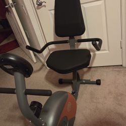 Stationary Recumbent Bike
