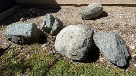 Free garden stones qty=50