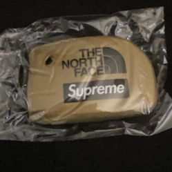 Supreme x North face Keychain