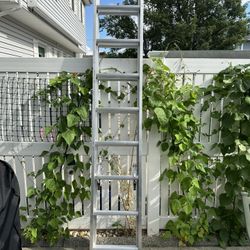 Werner 16 Foot Ladder