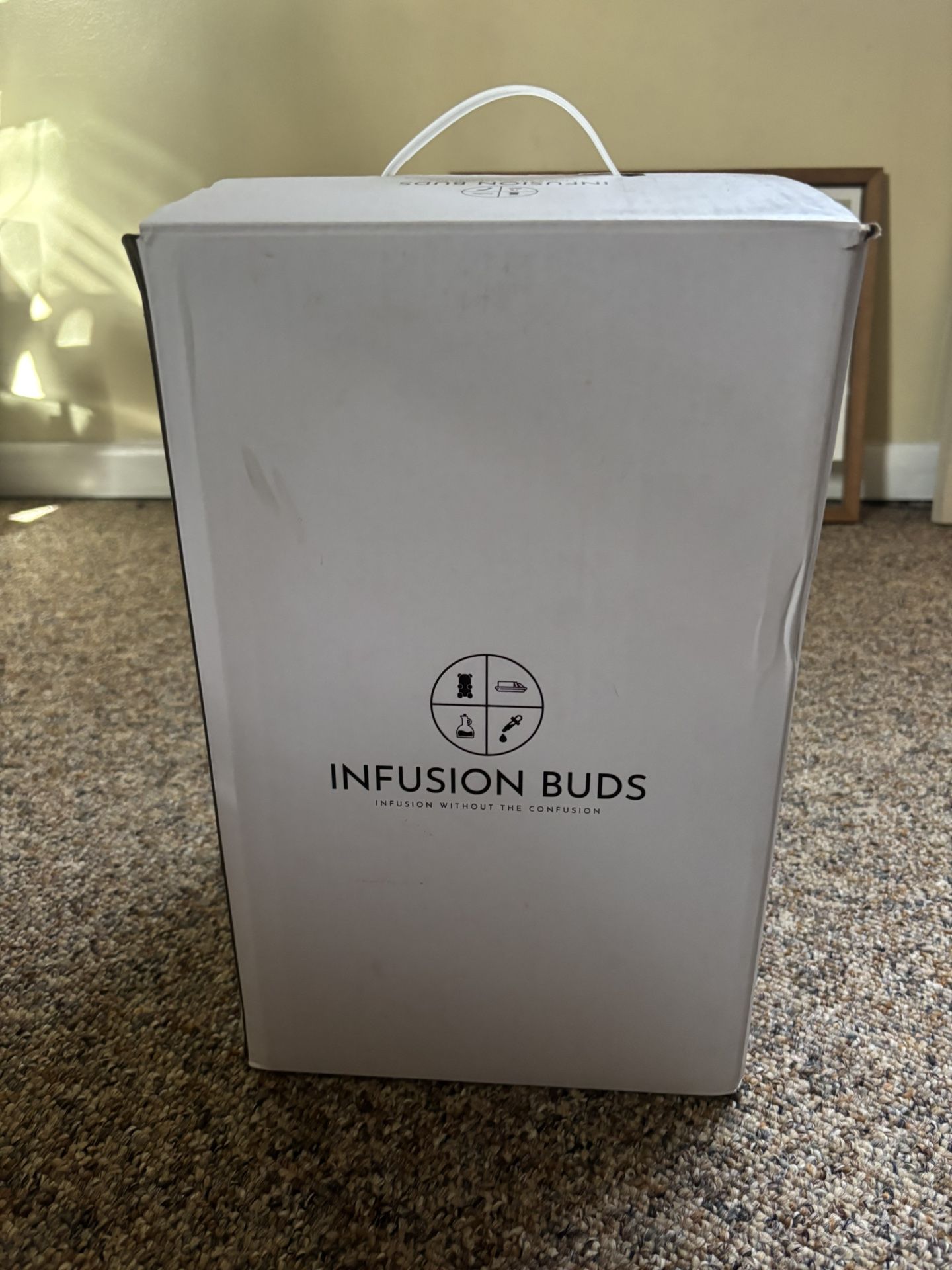 Infusion Bud