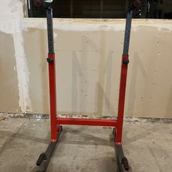 Adjustable Dip Station